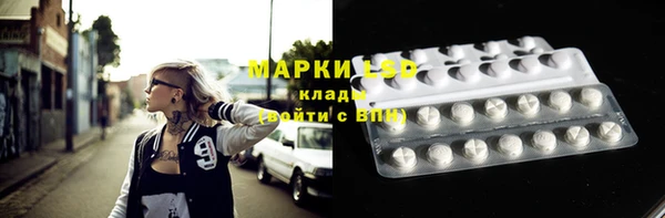 прущие грибы Алексеевка