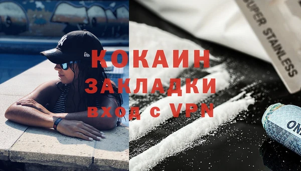 соль ск Алексин