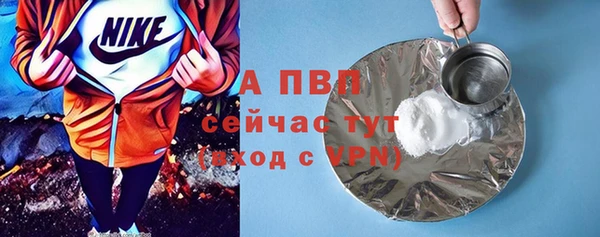 соль ск Алексин