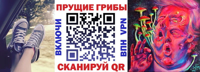 Галлюциногенные грибы мухоморы Санкт-Петербург