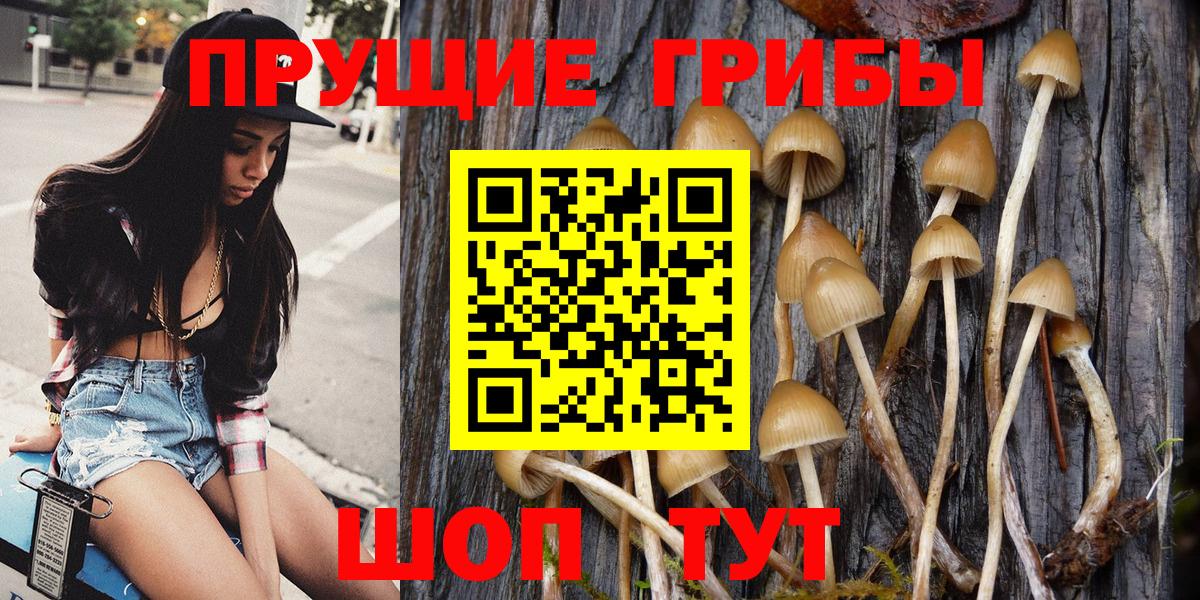 Псилоцибиновые грибы мицелий  Вход с VPN  Санкт-Петербург 